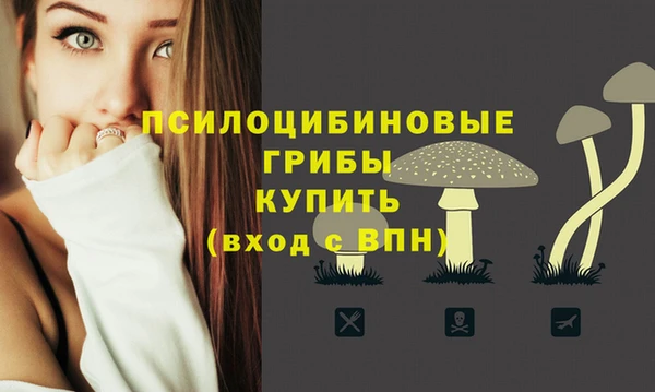 прущий лед Аркадак