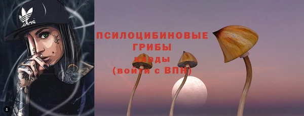 спайс Арсеньев