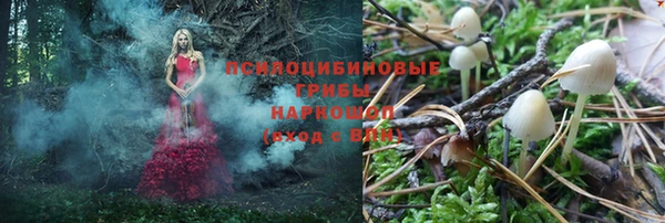 прущий лед Аркадак