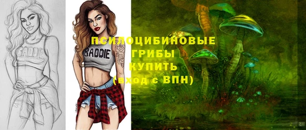 прущий лед Аркадак