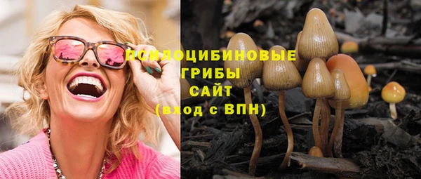 спайс Арсеньев