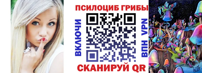 Купить Николаевск-на-Амуре Галлюциногенные грибы Magic Shrooms